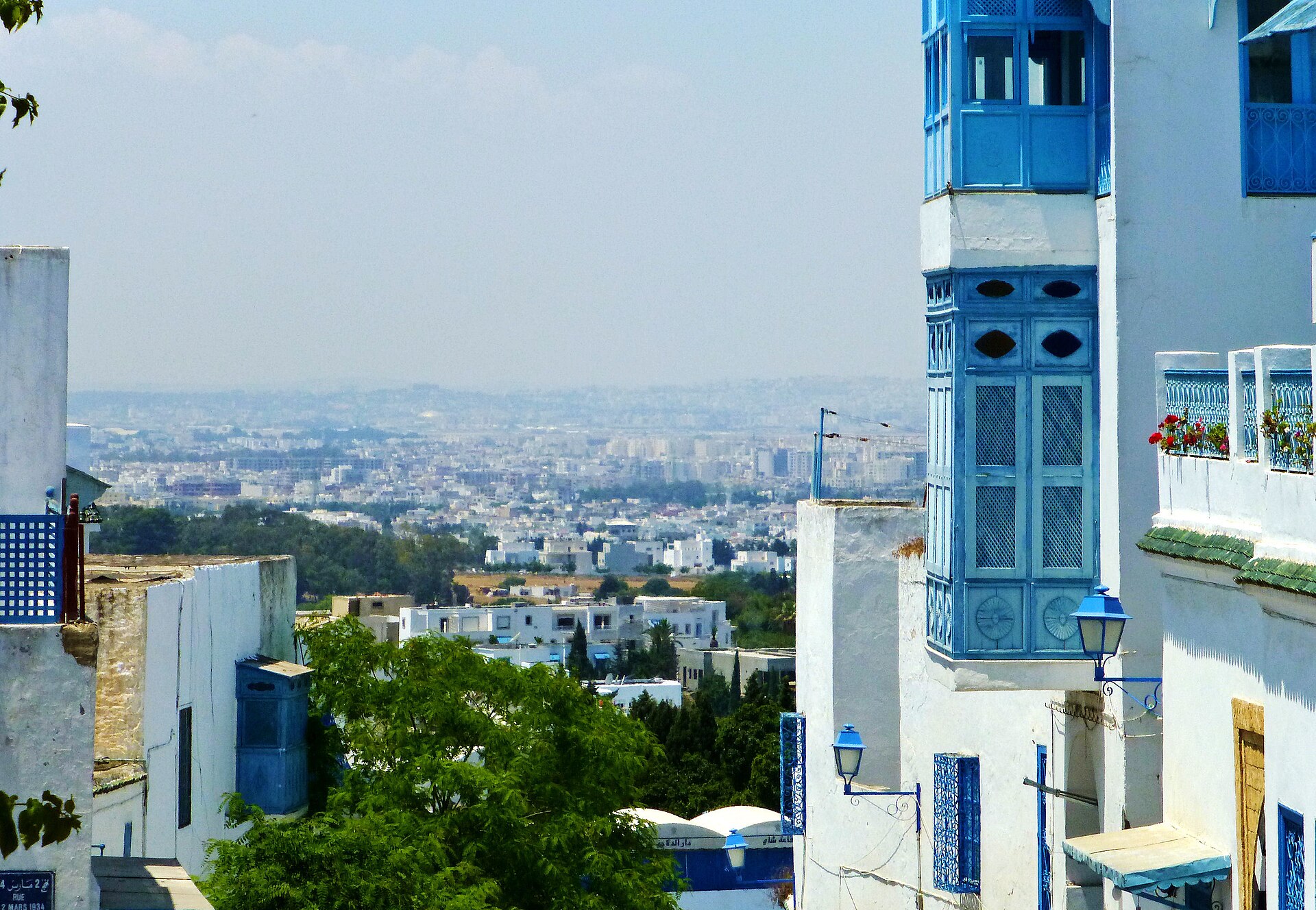 Biało-niebieska zabudowa Sidi Bou Said z widokiem na wybrzeże Tunezji